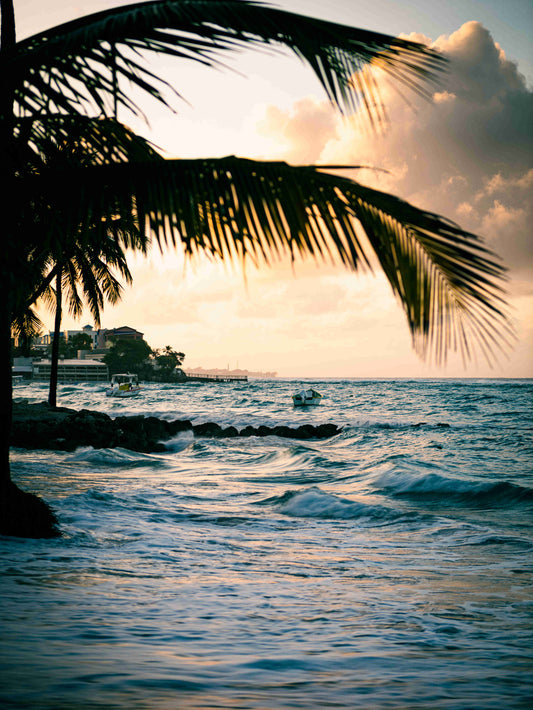 Island Soul, English Spirit: Independent Distillers Barbados