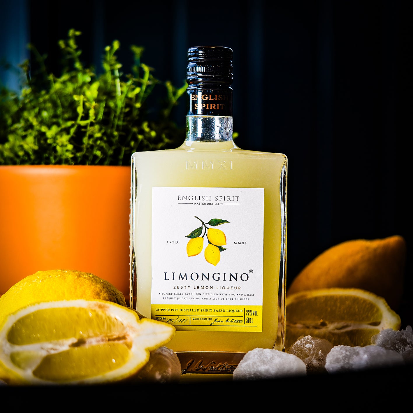 6 x Limongino