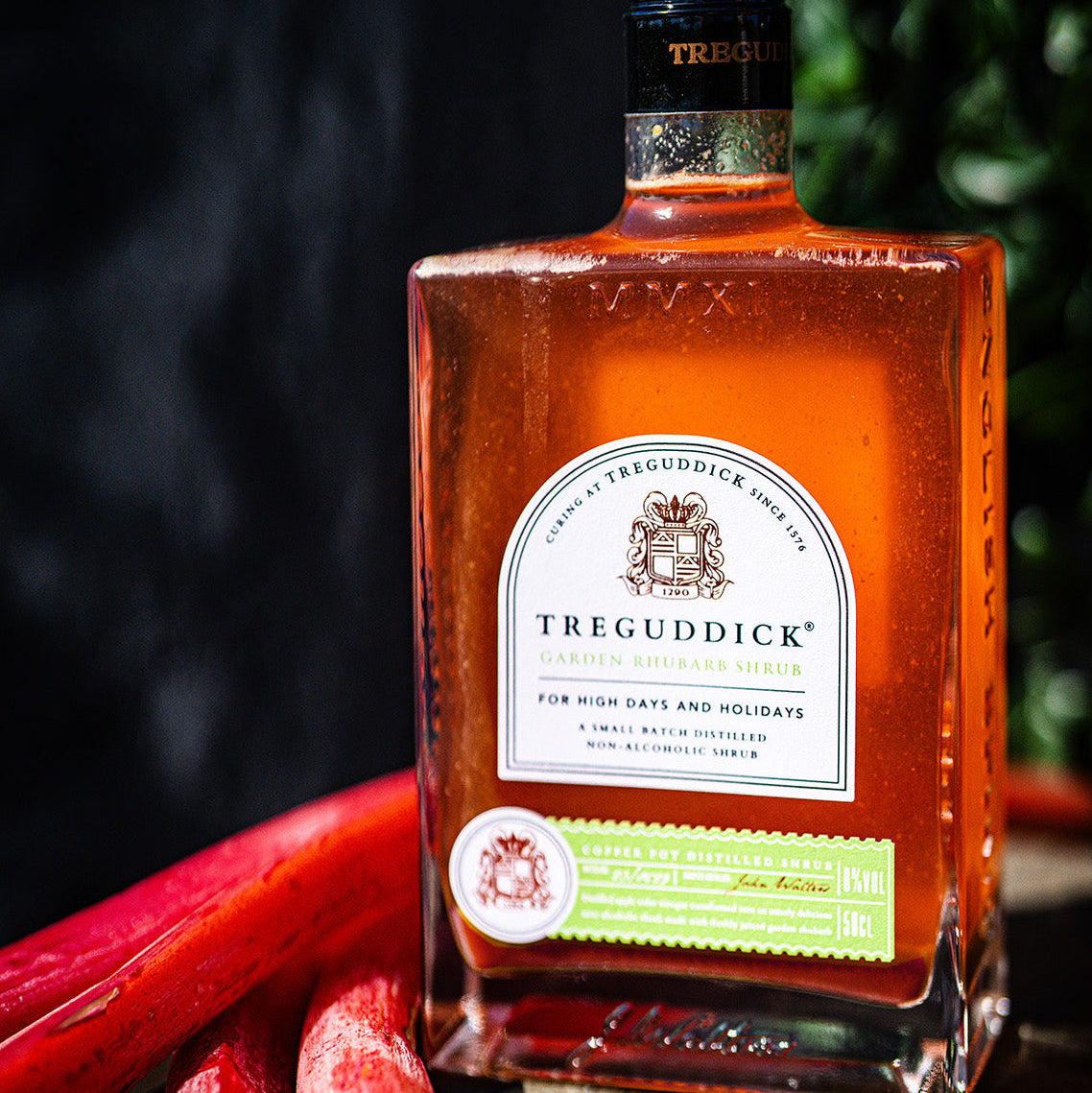 Garden Rhubarb Non Alcoholic Fruit Shrub