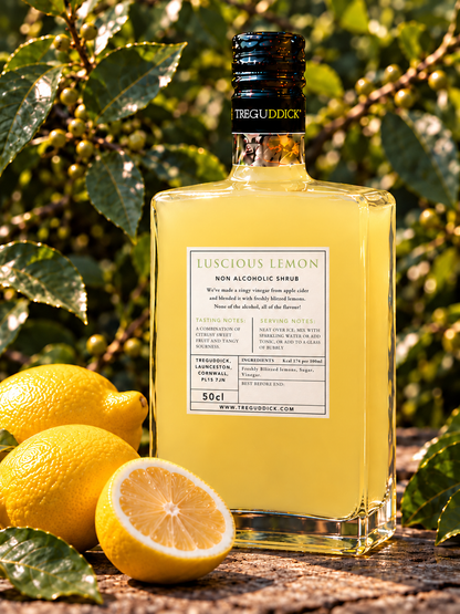 Lemon Non Alcoholic Fruit Shrub