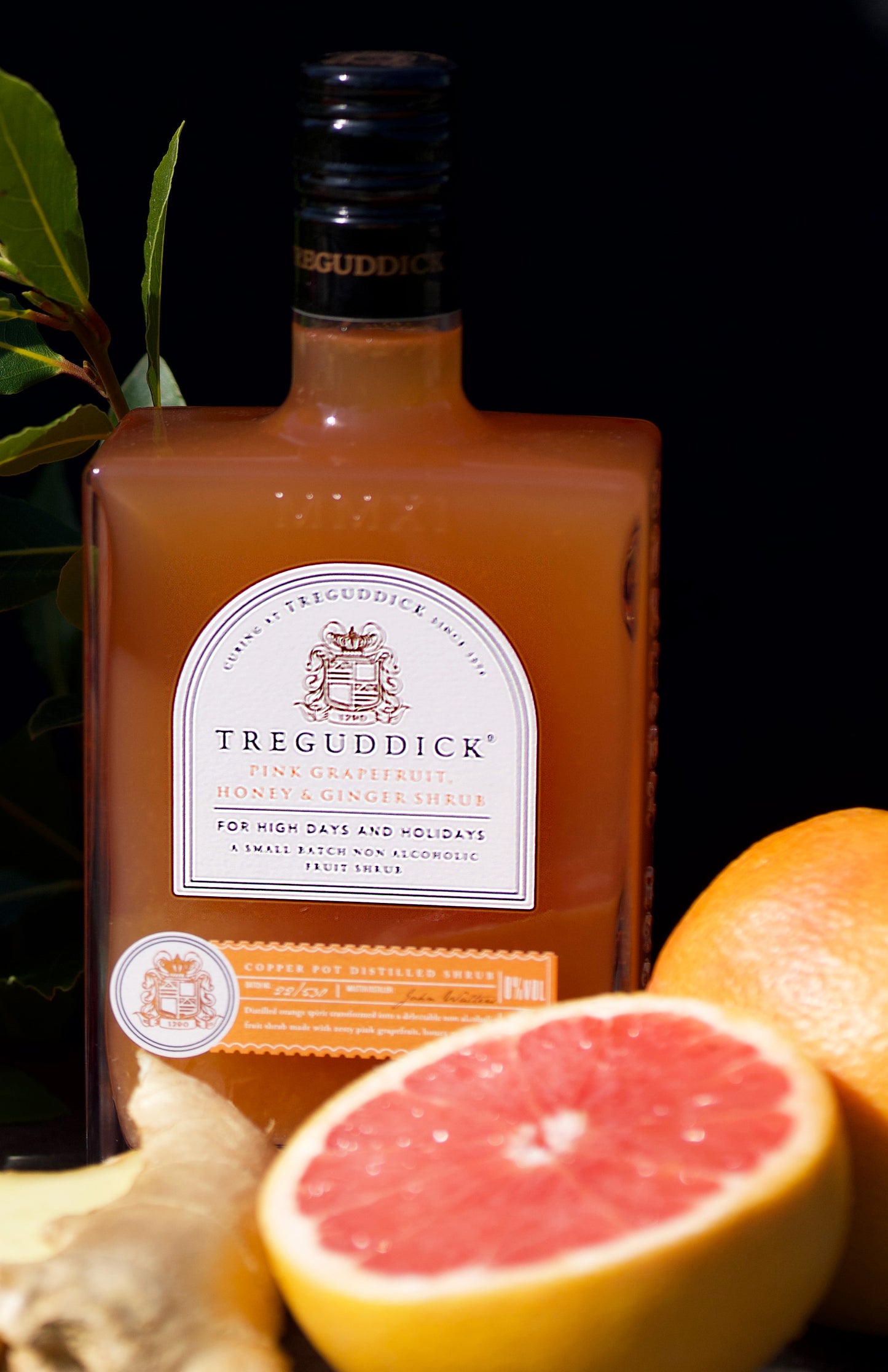 Grapefruit, Honey & Ginger Non Alcoholic Fruit Shrub