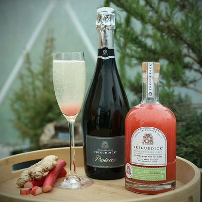 Garden Rhubarb Non Alcoholic Fruit Shrub